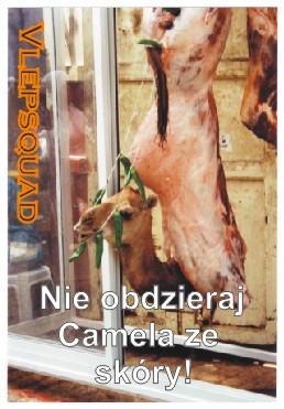 Nie obdzieraj camela ze skry