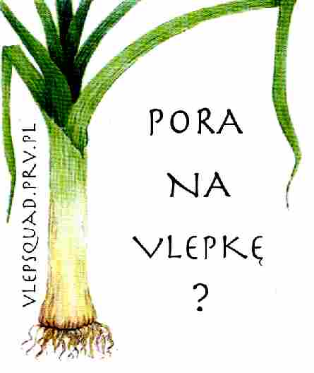 Mi Uszatek Is In Da House